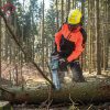 Metabo Pila Lančana Aku MS 36-18 LTX BL 40 / 18V (bez baterija i punjača) – 601613850 - Slika 8